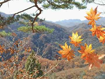 the isle岛服务器禁用恐龙和修改恐龙进化点的方法